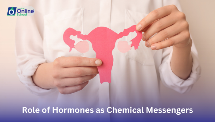Lesson 01: Role of Hormones as Chemical Messengers
